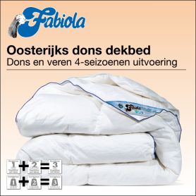 Fabiola 4-seizoenen dons dekbed met dons en krachtige veren.