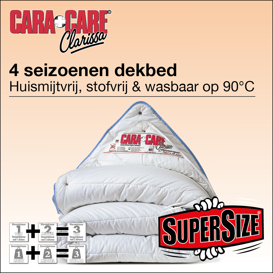 Cara Care 4-seizoenen Dekbed XL